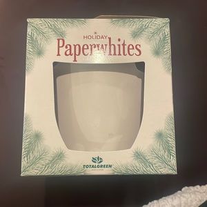 NWT Paperwhites Grow Your Own Indoor Plant